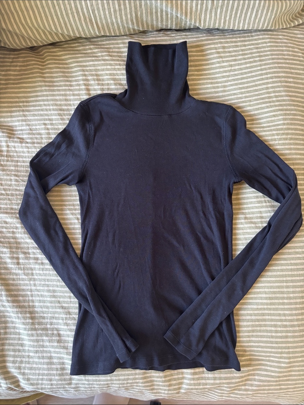 Everlane Ribbed Turtleneck